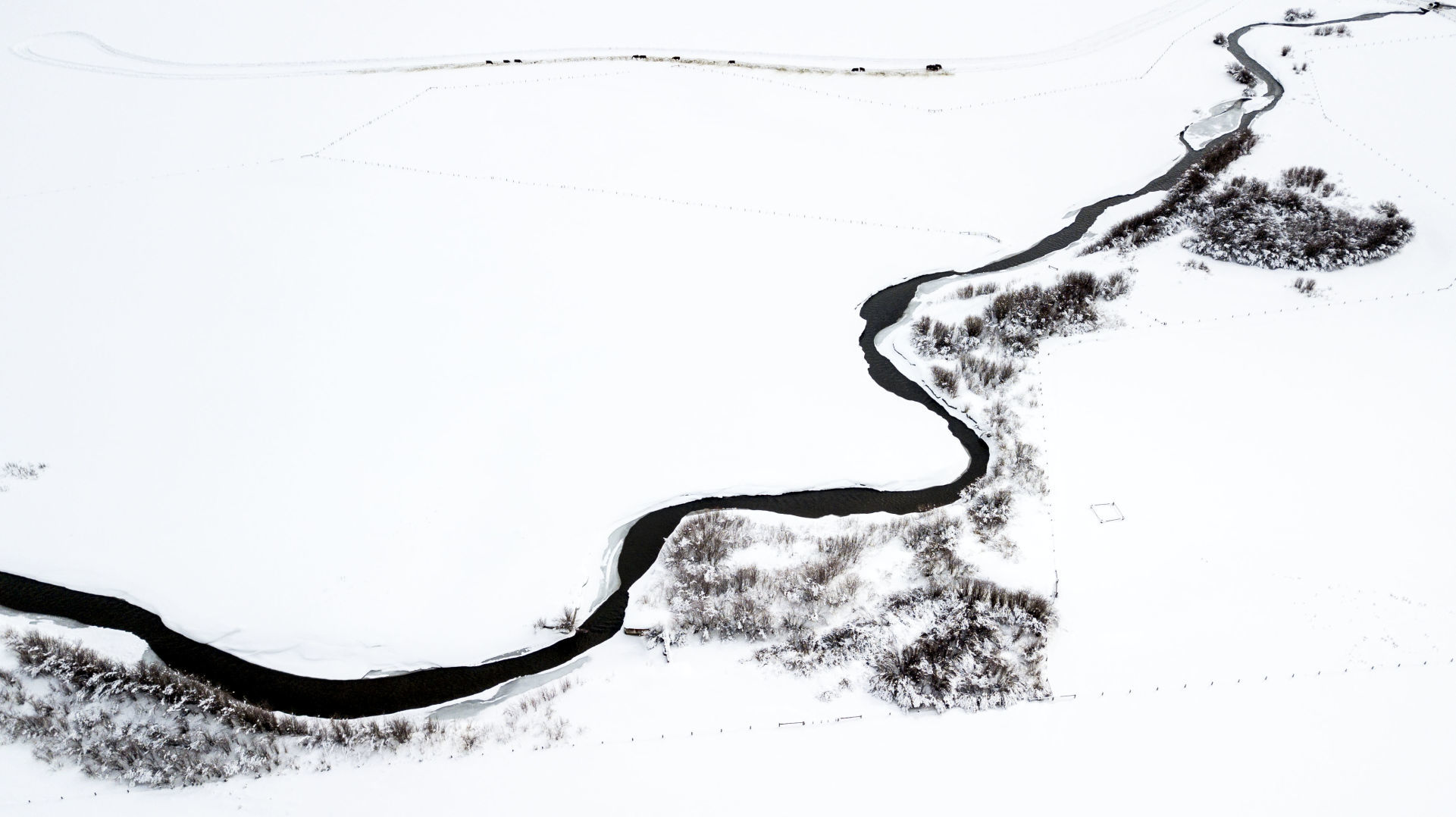 Snow blankets Jackson Hole